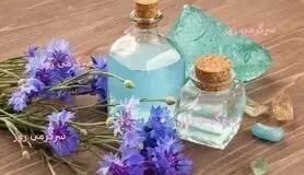 این گیاه برای پاکسازی کبد فوق العاده است