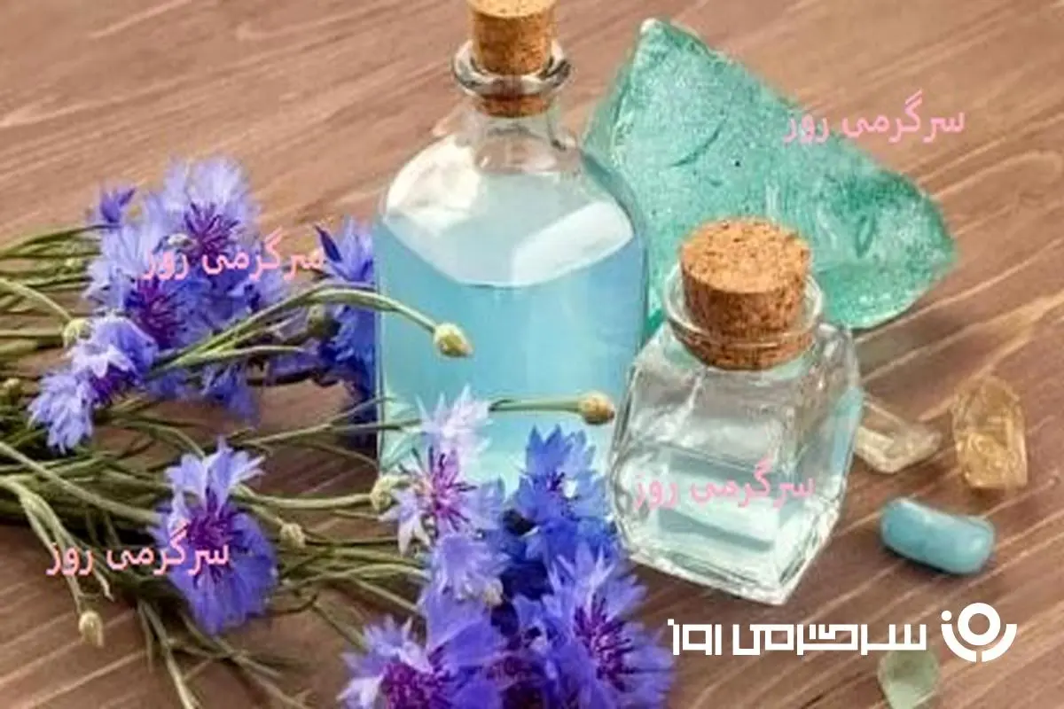 این گیاه برای پاکسازی کبد فوق العاده است