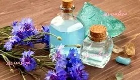 این گیاه شفا بخش کبد چرب را درمان، قند و فشار خون را تنظیم، کبد و کلیه را سم زدایی می کند