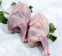 گوشت این پرنده جوانی را به سالمندان باز می گرداند | گوشتی که داروخانه طبیعت است