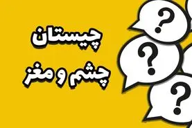 چیستان روز | کدام حیوان چشمش از مغزش بزرگتر است؟