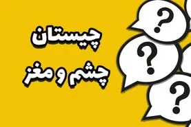 چیستان روز | کدام حیوان چشمش از مغزش بزرگتر است؟