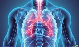 خطری که از موها به ریه‌ها می‌رسد | اشتباهی رایج در مراقبت از مو که ریه ها را نابود می کند