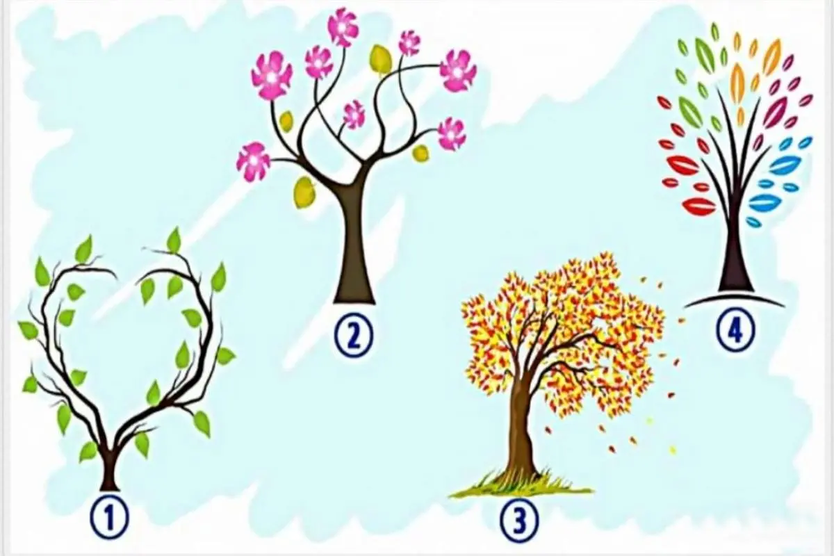 تست شخصیت شناسی | یک درخت انتخاب کن و پیام آخر هفتتو بخون