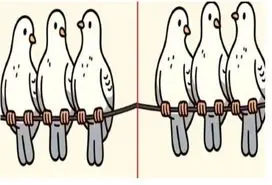 بازی فکری؛ 3 اشتباه تصویرو تو 5 ثانیه بگی هیچوقت آلزایمر  نمیگیری