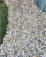 بازی فکری : باید ذهن و روان سالمی داشته باشی که تو 5 ثانیه  توپ گلف و پیدا کنی!