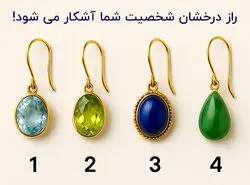  تست شخصیت شناسی : یک گوشواره را انتخاب کنید تا ویژگی شخصیتی شما را آشکار کنیم!