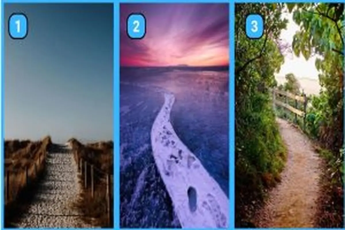 تست شخصیت شناسی | مسیری که انتخاب میکنی یک حقیقت تکان دهنده از زندگیت میگه!