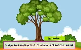 چیستان روز |  کدام شهر ایران است که اگر حرف آخر آن را برداریم، نام یک درخت می‌شود؟