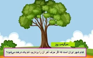 چیستان روز |  کدام شهر ایران است که اگر حرف آخر آن را برداریم، نام یک درخت می‌شود؟