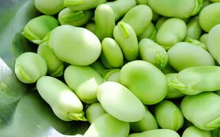 خواص شگفت انگیز باقلا برای مردان ؛ افزایش انرژی و بهبود سلامت قلب و تقویت سلامت پروستات و بهبود عملکرد جنسی