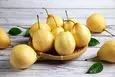 آموزش کاشت گلابی در گلدان + روش نگهداری
