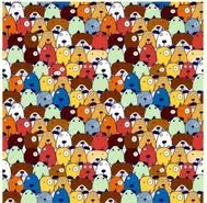 بازی فکری : از هر 100 نفر فقط 2 نفر تونستن خوک مخفی و پیدا کنند!