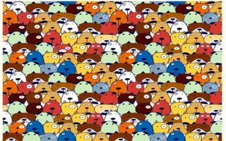 بازی فکری : از هر 100 نفر فقط 2 نفر تونستن خوک مخفی و پیدا کنند!