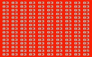 بازی فکری : فقط نوابغ تیزهوش تو 5 ثانیه عدد 85 و پیدا می کنند!