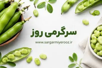  سلامت پروستات با این صیفی نوبرانه | یک خوراکی قدیمی با فایده‌ای مهم برای مردان؛ باقلا و پروستات