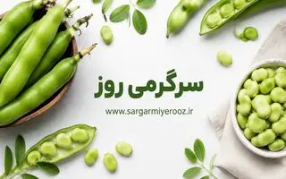  سلامت پروستات با این صیفی نوبرانه | یک خوراکی قدیمی با فایده‌ای مهم برای مردان؛ باقلا و پروستات