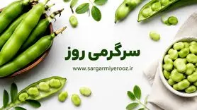  سلامت پروستات با این صیفی نوبرانه | یک خوراکی قدیمی با فایده‌ای مهم برای مردان؛ باقلا و پروستات