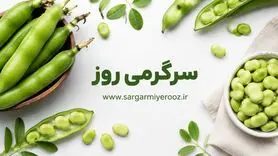  سلامت پروستات با این صیفی نوبرانه | یک خوراکی قدیمی با فایده‌ای مهم برای مردان؛ باقلا و پروستات