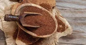 این گیاه باعث کاهش عطش در ماه رمضان می شود