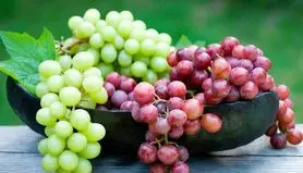  حقایقی درباره خاصیت‌های انگور قرمز و سبز | درمان قند خون تا فشار خون برای همیشه 