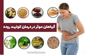  بیماری های روده را با این خوراکی ها فراری دهید 