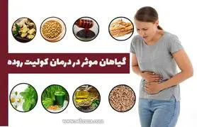 بیماری های روده را با این خوراکی ها فراری دهید