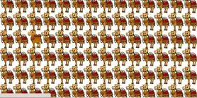 بازی فکری : فقط افراد با استعداد می‌توانند شتر متفاوت را در ۶ ثانیه پیدا کنند!