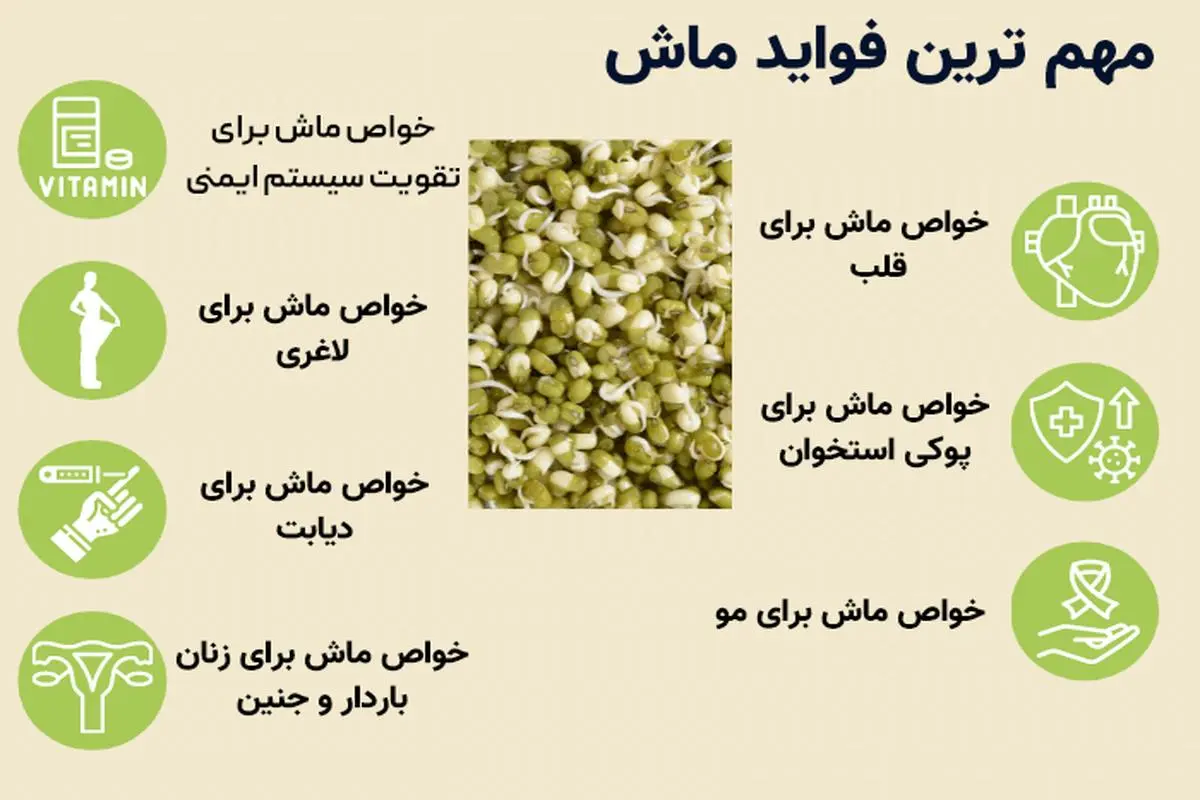 مصرف پلو با این دانه شما را 120 ساله می کند/ همه خواص درختان و گیاهان و گوشت حیوانات در این دانه جمع شده است 