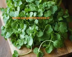 سلطان سبزی‌های شفابخش!