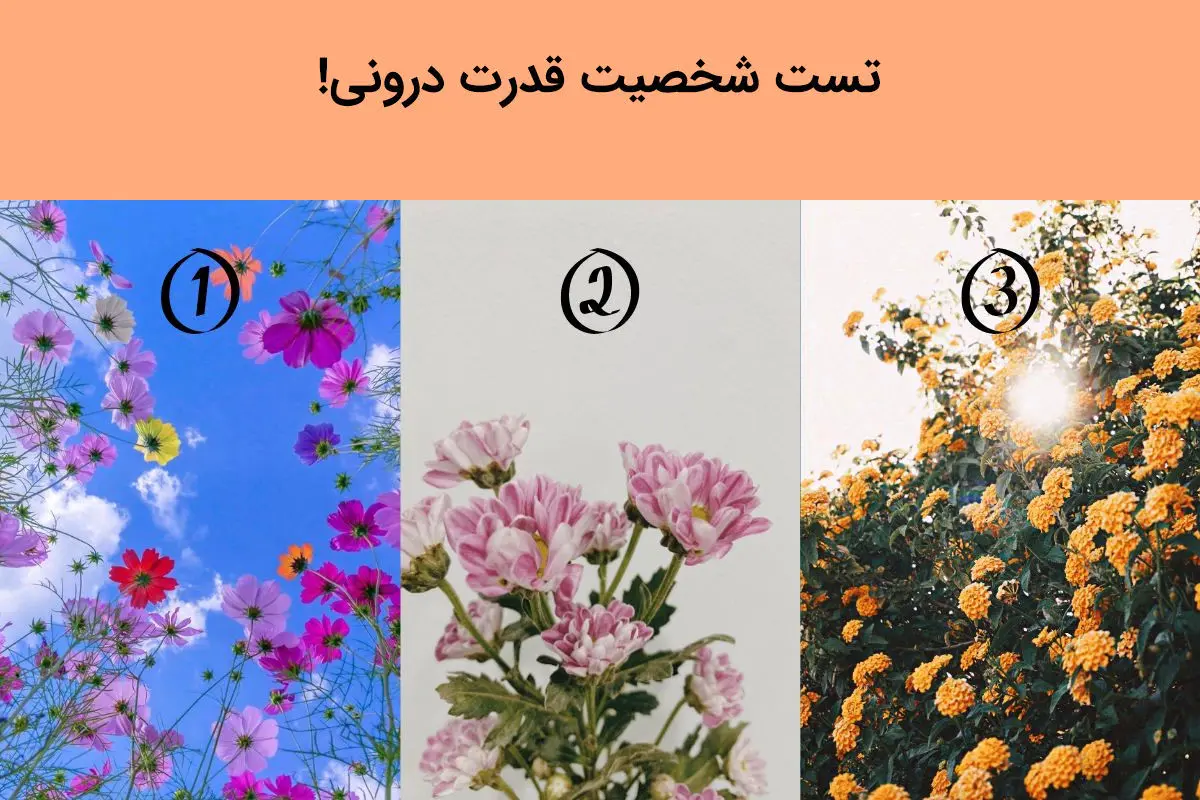 تست شخصیت شناسی | قدرت درونیت چیه؟ یکی از گل ها رو انتخاب کن بفهمی!