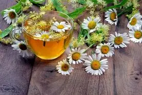 تقویت مغز با چند ادویه ارزان قیمت | مغز با کارایی 100 درصد بیشتر با این ادویه ها