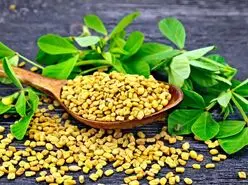 این سبزی سنگ کلیه را آب می کند