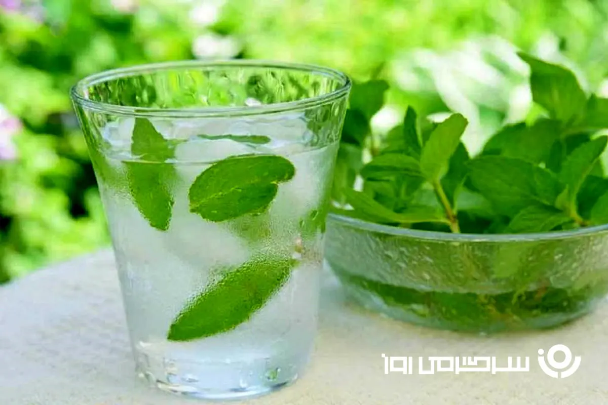 فرمول طلایی فریز کردن نعناع برای استفاده طولانی‌مدت | با این ترفند همیشه نعناع تازه داریم
