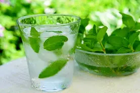 فرمول طلایی فریز کردن نعناع برای استفاده طولانی‌مدت | با این ترفند همیشه نعناع تازه داریم