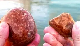 کشف سنگ قیمتی از رودخانه؛ چگونه در رودخانه عقیق، یاقوت، فیروزه و گارنت پیدا کنیم و در کدام رودخانههای ایران وجود دارند؟