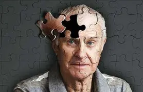 آلزایمر را اینگونه فراری دهید | مغزتان تا 120 سالگی جوان می ماند
