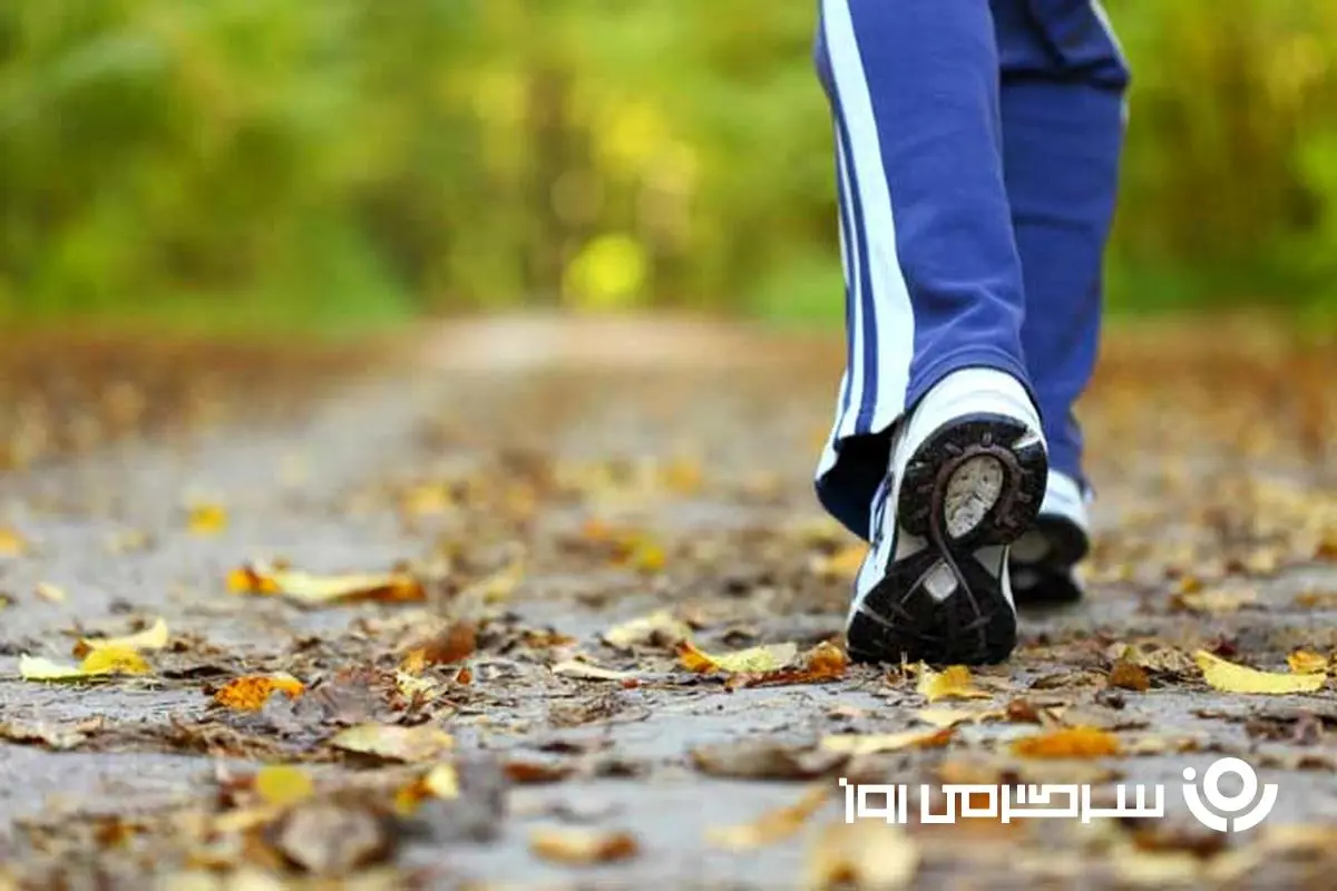 تاثیر معجزه‌آسای پیاده‌روی روزانه بر سلامت قلب و کاهش استرس