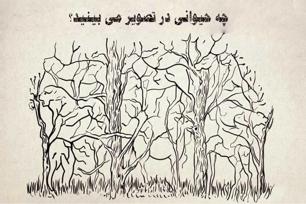 تست شخصیت شناسی | اولین حیوونی که تشخیص بدی ریز به ریز شخصیتت رو تشریح میکنه برات