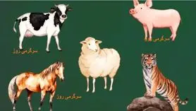 حیوان مورد علاقه خود را انتخاب کنید و در 45 ثانیه بفهمید که عزت نفس بالایی دارید یا خیر ؟ | تست شخصیت شناسی