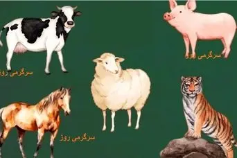 حیوان مورد علاقه خود را انتخاب کنید و در 45 ثانیه بفهمید که عزت نفس بالایی دارید یا خیر ؟ | تست شخصیت شناسی