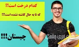 چیستان روز | کدام درخت است که تا به حال کاشته نشده است!؟