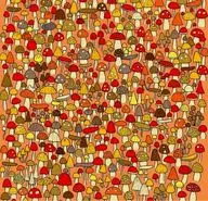 بازی فکری : فقط اونایی که مثل گربه های شکارچی اند می تونن موش و تو 5 ثانیه پیدا کنن!