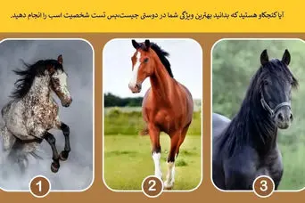 تست شخصیت شناسی | اسب جذاب و انتخاب کن تا بگم بهت چقدر اعتماد به نفس داری
