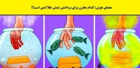 تست هوش | یک آدم عاقل سعی میکنه از کدوم مخزن طلا رو برداره؟ | شما بودی کدوم رو انتخاب میکردی