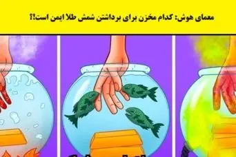 تست هوش | یک آدم عاقل سعی میکنه از کدوم مخزن طلا رو برداره؟ | شما بودی کدوم رو انتخاب میکردی