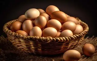روش نگهداری تخم مرغ برای مدت طولانی | راهنمای کامل نگهداری، ماندگاری و فریز کردن تخم مرغ