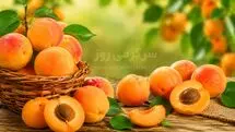 خواص زردآلو برای قند خون، سلامت مردان و درمان‌های خانگی