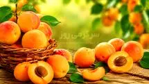 خواص زردآلو برای قند خون، سلامت مردان و درمان‌های خانگی