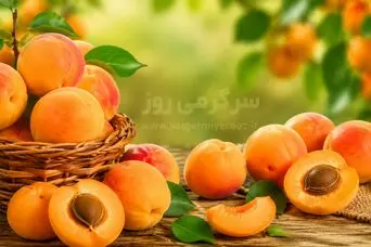 خواص زردآلو برای قند خون، سلامت مردان و درمان‌های خانگی